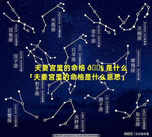 夫妻宫里的命格 🐧 是什么「夫妻宫里的命格是什么意思」